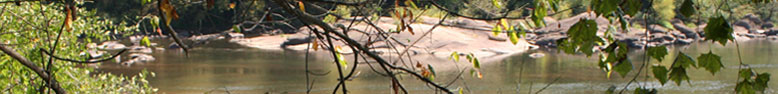 Image from Cayce, SC