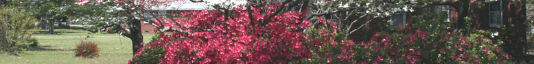 Image from Cayce, SC