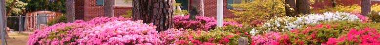Image from Cayce, SC