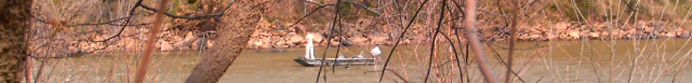Image from Cayce, SC