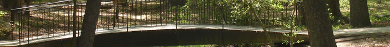 Image from Cayce, SC